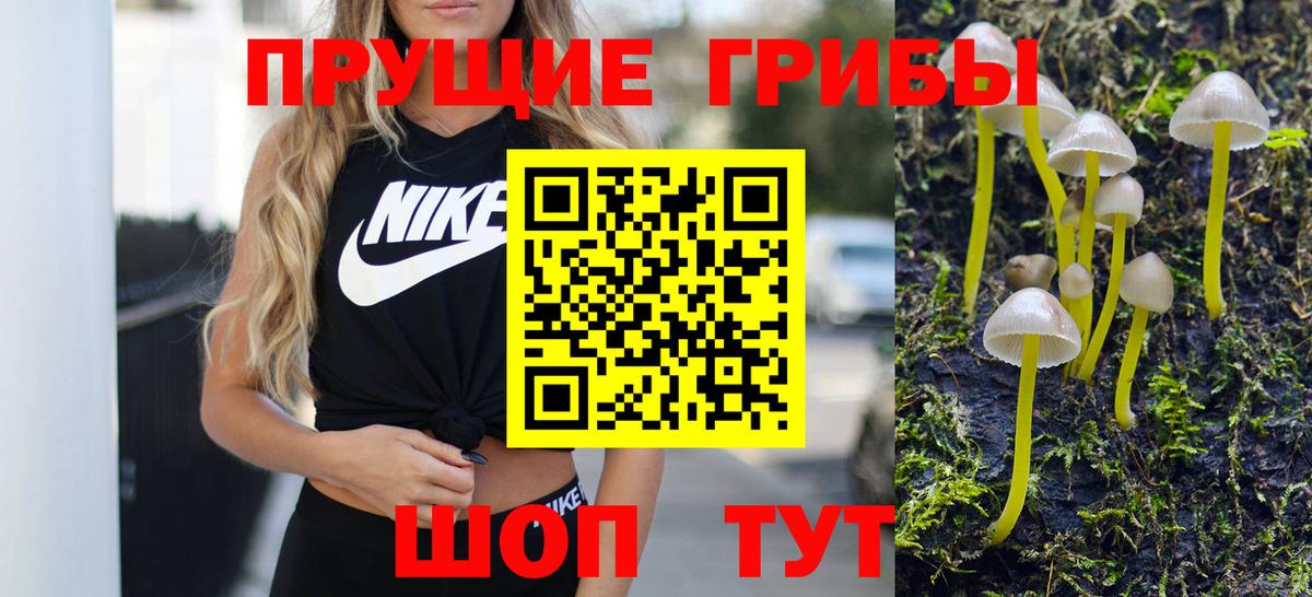 Галлюциногенные грибы прущие грибы Кушва