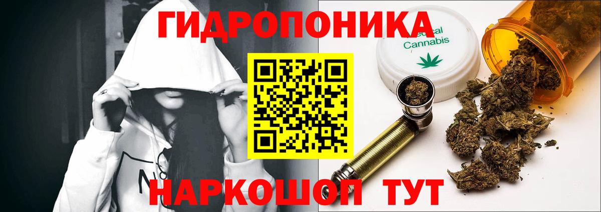 Бошки марихуана план Кушва
